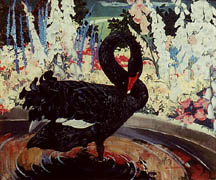 Jessie Botke Black Swan