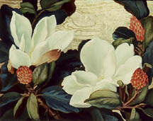 Jessie Arms Botke - Magnolias